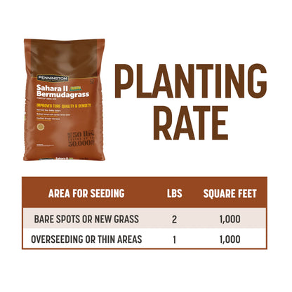 Pennington Sahara II Bermudagrass Penkoted Grass Seed 25 lb, Full Sun, Heat Tolerant