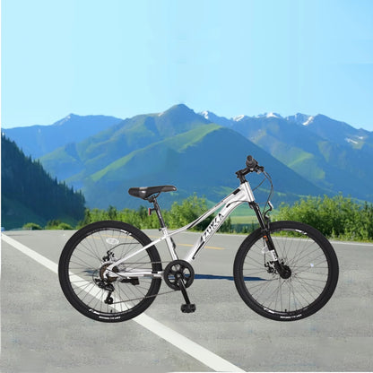 Meghna 7-Speed Mountain Bike for Girls Boys 24 inch Shimano Kids Bicycle Silver 9-12 Year Child