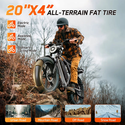 TST Electric Bike for Adults, 750W Peak 1500W Motor, 20"x4" Fat Tire, E Mountain Bike, 48V/15AH UL2849