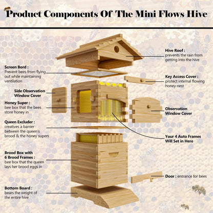 AUSHIVE Wax Coated Cedarwood Bee Beehive Kit with 4 Beehive Frames & 6 Brood Frames, Beige
