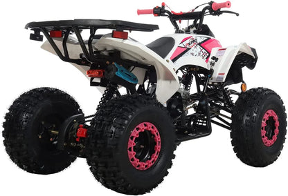 X-Pro Brand New 125cc Gas ATV, Automatic Transmission w/Reverse Electric Start Big 19"/18" Tires