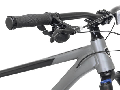 Kent Bicycles 29" Men's Trouvaille Mountain Bike Large, Black and Taupe