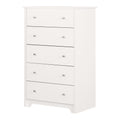 HomeStock French Flair Contemporary Style Bedroom 5-Drawer Chest, Painted Finish with Storage Feature - 19.5"D x 31.25"W x 48.75"H-Color:White