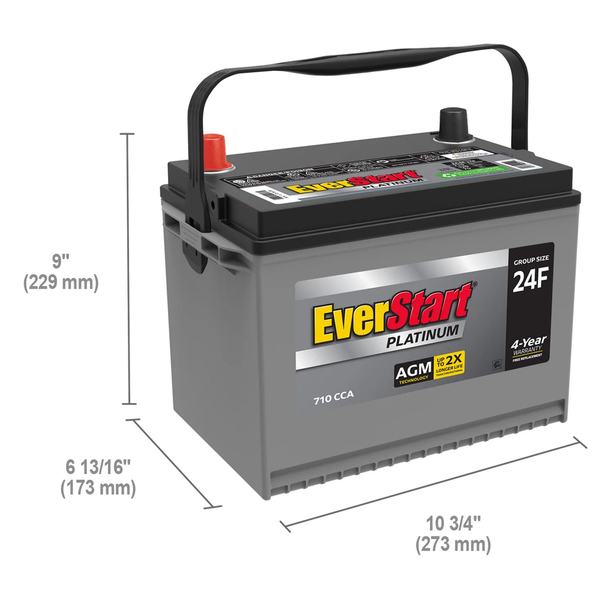 EverStart Platinum AGM Automotive Battery, Group Size 24F 12 Volt, 710 CCA