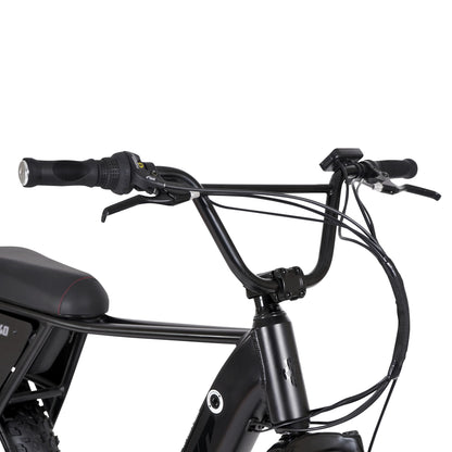 Hyper Bicycles Ultra 40 20" 36V Electric Bike for Adults, 250W E-Bike Motor, Matte Black
