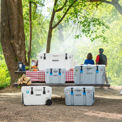 Lifetime 28 qt Bear-Resistant Camping Cooler, Premium High Performance, Ice Retention, Hard Cooler, 20 Can Capacity, Boulder Gray (91289)
