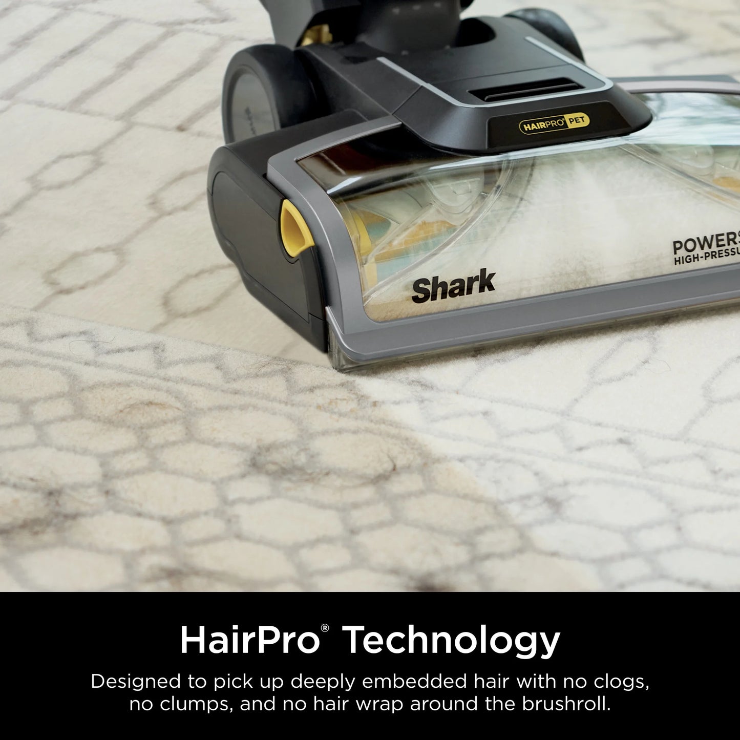 Shark CarpetXpert 2-in-1 Upright Deep Carpet Corded Vacuum, with HairPro StainStriker Technology, Built-in Spot & Stain Eliminator, with 12oz Deep Clean Pro and 16oz Oxy Multiplier, EX300 Gray
